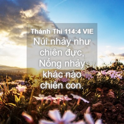 Picture 04 - Thánh Thi 114:4 VIE - Núi nhảy như chiên đực, Nổng nhảy - Bible Verse Picture