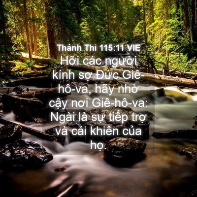 Picture 04 - Thánh Thi 115:11 VIE - Hỡi các người kính sợ Đức - Bible Verse Picture