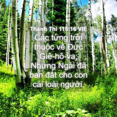 Picture 04 - Thánh Thi 115:16 VIE - Các từng trời thuộc về Đức - Bible Verse Picture
