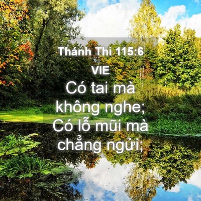 Picture 04 - Thánh Thi 115:6 VIE - Có tai mà không nghe; Có lỗ mũi mà - Bible Verse Picture