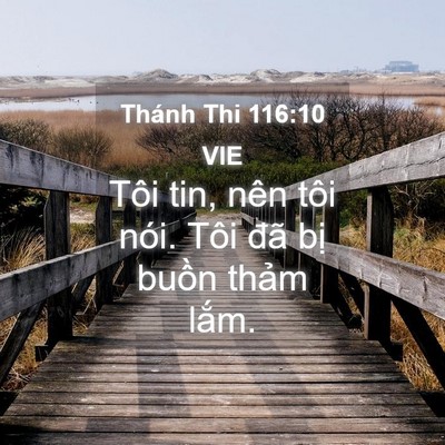 Picture 04 - Thánh Thi 116:10 VIE - Tôi tin, nên tôi nói. Tôi đã bị buồn - Bible Verse Picture