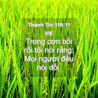 Picture 04 - Thánh Thi 116:11 VIE - Trong cơn bối rối tôi nói rằng: Mọi - Bible Verse Picture