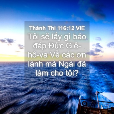 Picture 04 - Thánh Thi 116:12 VIE - Tôi sẽ lấy gì báo đáp Đức Giê-hô-va - Bible Verse Picture