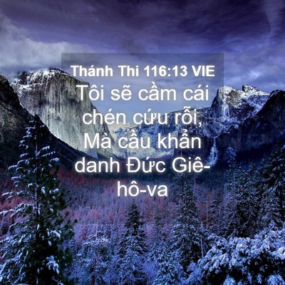 Picture 04 - Thánh Thi 116:13 VIE - Tôi sẽ cầm cái chén cứu rỗi, Mà cầu - Bible Verse Picture