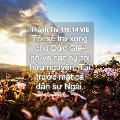 Picture 04 - Thánh Thi 116:14 VIE - Tôi sẽ trả xong cho Đức Giê-hô-va các - Bible Verse Picture