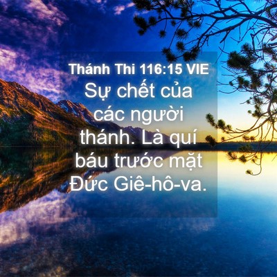 Picture 04 - Thánh Thi 116:15 VIE - Sự chết của các người thánh. Là quí - Bible Verse Picture