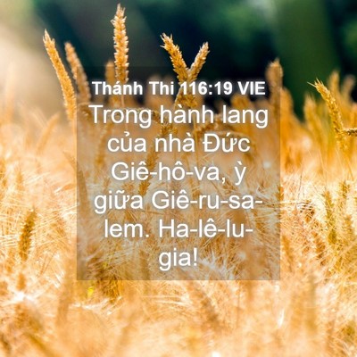 Picture 04 - Thánh Thi 116:19 VIE - Trong hành lang của nhà Đức Giê-hô-va, - Bible Verse Picture