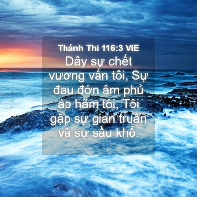 Picture 04 - Thánh Thi 116:3 VIE - Dây sự chết vương vấn tôi, Sự đau - Bible Verse Picture