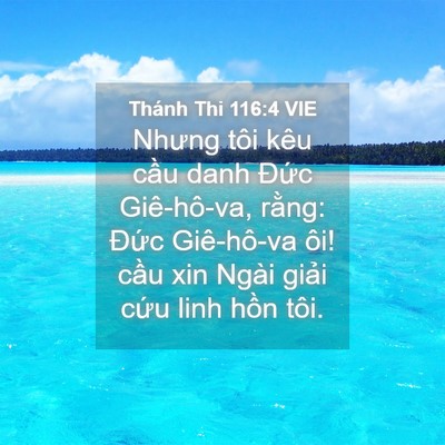 Picture 04 - Thánh Thi 116:4 VIE - Nhưng tôi kêu cầu danh Đức Giê-hô-va, - Bible Verse Picture