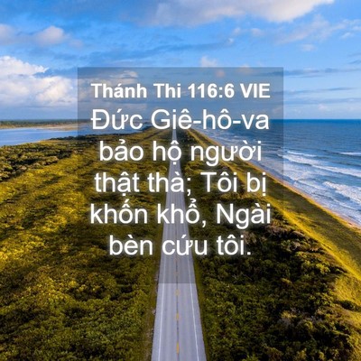 Picture 04 - Thánh Thi 116:6 VIE - Đức Giê-hô-va bảo hộ người thật - Bible Verse Picture