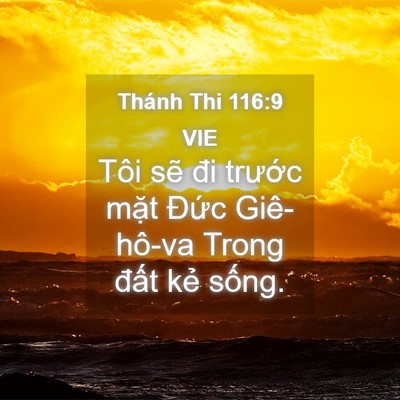 Picture 04 - Thánh Thi 116:9 VIE - Tôi sẽ đi trước mặt Đức Giê-hô-va - Bible Verse Picture