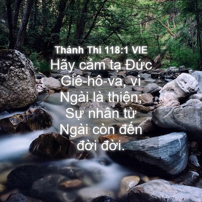 Picture 04 - Thánh Thi 118:1 VIE - Hãy cảm tạ Đức Giê-hô-va, vì Ngài là - Bible Verse Picture