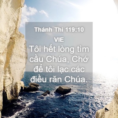 Picture 04 - Thánh Thi 119:10 VIE - Tôi hết lòng tìm cầu Chúa, Chớ để - Bible Verse Picture