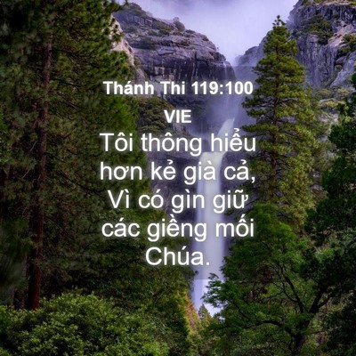 Picture 04 - Thánh Thi 119:100 VIE - Tôi thông hiểu hơn kẻ già cả, Vì có - Bible Verse Picture