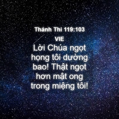 Picture 04 - Thánh Thi 119:103 VIE - Lời Chúa ngọt họng tôi dường bao! - Bible Verse Picture