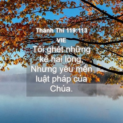 Picture 04 - Thánh Thi 119:113 VIE - Tôi ghét những kẻ hai lòng, Nhưng yêu - Bible Verse Picture