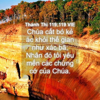 Picture 04 - Thánh Thi 119:119 VIE - Chúa cất bỏ kẻ ác khỏi thế gian như - Bible Verse Picture