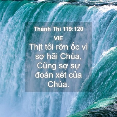 Picture 04 - Thánh Thi 119:120 VIE - Thịt tôi rỡn ốc vì sợ hãi Chúa, Cũng - Bible Verse Picture