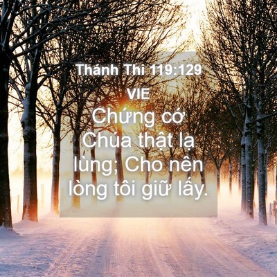Picture 04 - Thánh Thi 119:129 VIE - Chứng cớ Chúa thật lạ lùng; Cho nên - Bible Verse Picture