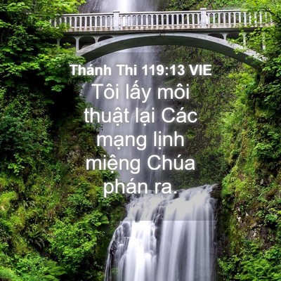 Picture 04 - Thánh Thi 119:13 VIE - Tôi lấy môi thuật lại Các mạng lịnh - Bible Verse Picture
