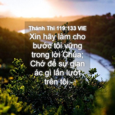 Picture 04 - Thánh Thi 119:133 VIE - Xin hãy làm cho bước tôi vững trong lời - Bible Verse Picture