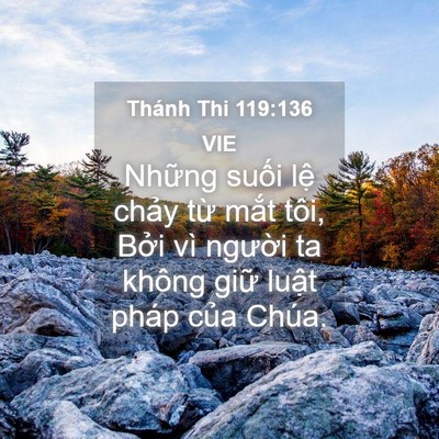 Picture 04 - Thánh Thi 119:136 VIE - Những suối lệ chảy từ mắt tôi, Bởi - Bible Verse Picture