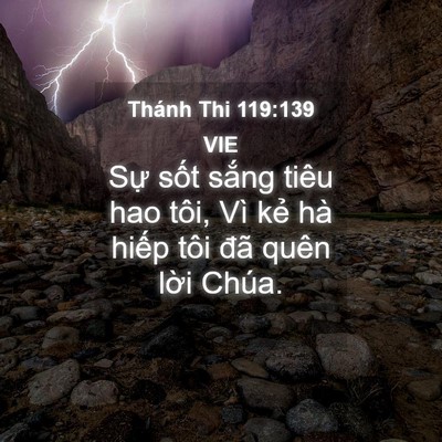Picture 04 - Thánh Thi 119:139 VIE - Sự sốt sắng tiêu hao tôi, Vì kẻ hà - Bible Verse Picture