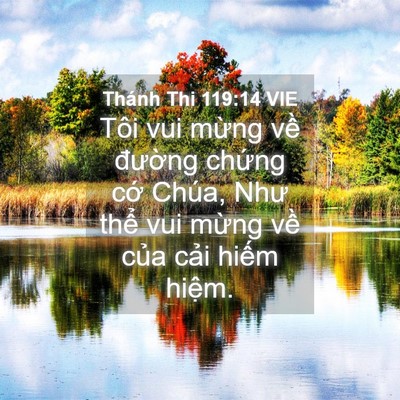 Picture 04 - Thánh Thi 119:14 VIE - Tôi vui mừng về đường chứng cớ - Bible Verse Picture