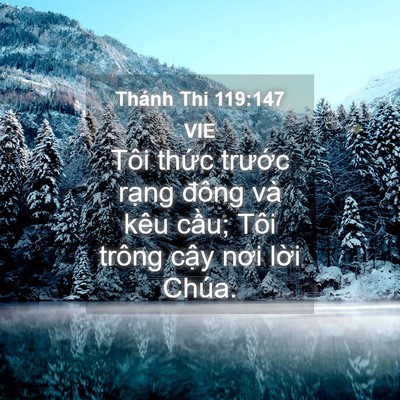 Picture 04 - Thánh Thi 119:147 VIE - Tôi thức trước rạng đông và kêu - Bible Verse Picture