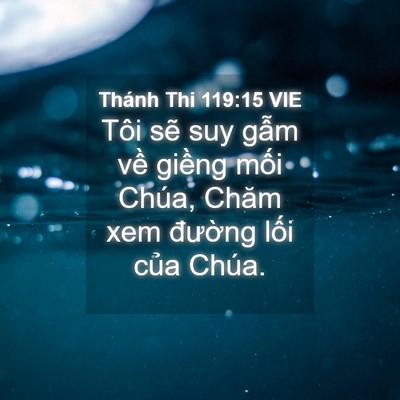 Picture 04 - Thánh Thi 119:15 VIE - Tôi sẽ suy gẫm về giềng mối Chúa, - Bible Verse Picture