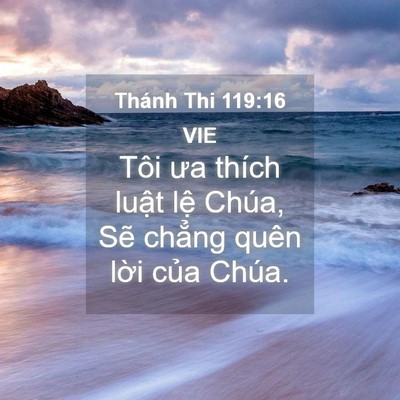 Picture 04 - Thánh Thi 119:16 VIE - Tôi ưa thích luật lệ Chúa, Sẽ chẳng - Bible Verse Picture