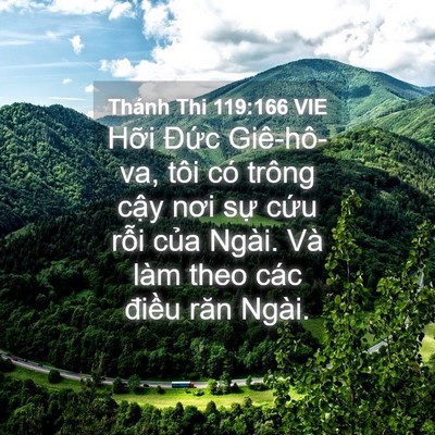 Picture 04 - Thánh Thi 119:166 VIE - Hỡi Đức Giê-hô-va, tôi có trông cậy - Bible Verse Picture