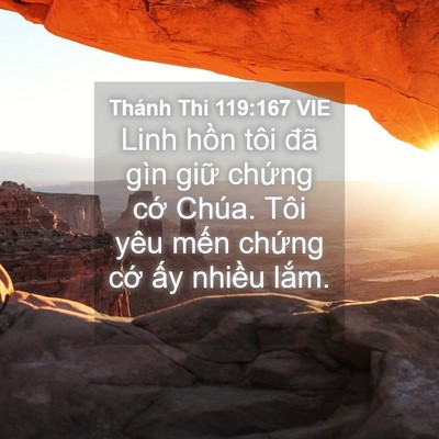 Picture 04 - Thánh Thi 119:167 VIE - Linh hồn tôi đã gìn giữ chứng cớ - Bible Verse Picture