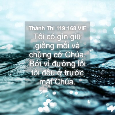 Picture 04 - Thánh Thi 119:168 VIE - Tôi có gìn giữ giềng mối và chứng - Bible Verse Picture