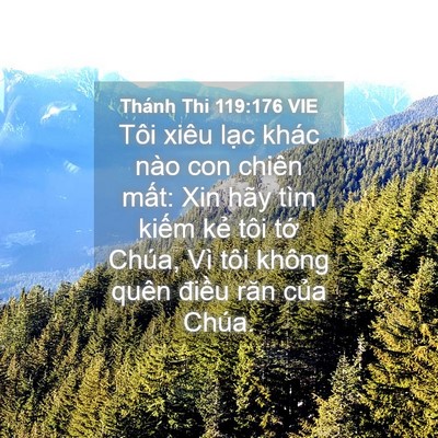 Picture 04 - Thánh Thi 119:176 VIE - Tôi xiêu lạc khác nào con chiên mất: Xin - Bible Verse Picture