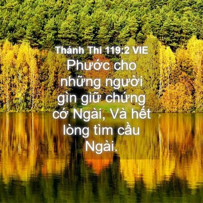 Picture 04 - Thánh Thi 119:2 VIE - Phước cho những người gìn giữ chứng - Bible Verse Picture