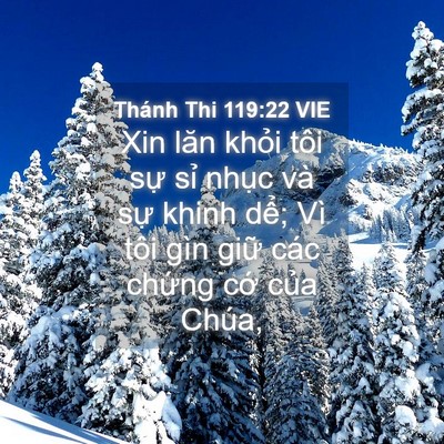 Picture 04 - Thánh Thi 119:22 VIE - Xin lăn khỏi tôi sự sỉ nhục và sự - Bible Verse Picture