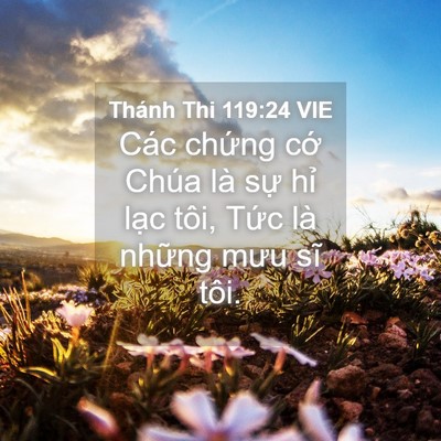 Picture 04 - Thánh Thi 119:24 VIE - Các chứng cớ Chúa là sự hỉ lạc tôi, - Bible Verse Picture