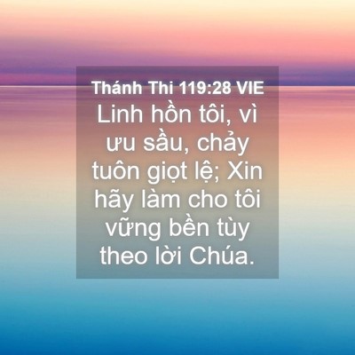 Picture 04 - Thánh Thi 119:28 VIE - Linh hồn tôi, vì ưu sầu, chảy tuôn - Bible Verse Picture
