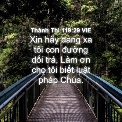 Picture 04 - Thánh Thi 119:29 VIE - Xin hãy dang xa tôi con đường dối trá, - Bible Verse Picture