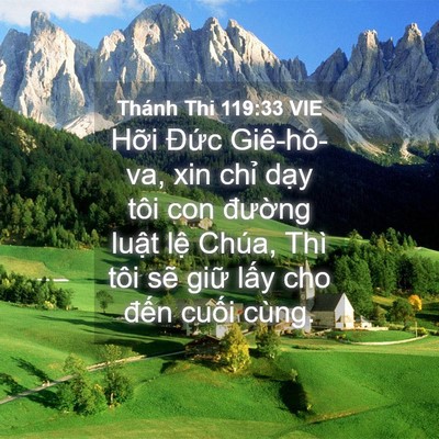 Picture 04 - Thánh Thi 119:33 VIE - Hỡi Đức Giê-hô-va, xin chỉ dạy tôi - Bible Verse Picture