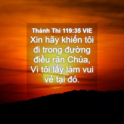 Picture 04 - Thánh Thi 119:35 VIE - Xin hãy khiến tôi đi trong đường điều - Bible Verse Picture