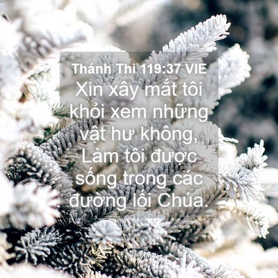 Picture 04 - Thánh Thi 119:37 VIE - Xin xây mắt tôi khỏi xem những vật hư - Bible Verse Picture