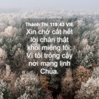Picture 04 - Thánh Thi 119:43 VIE - Xin chớ cất hết lời chân thật khỏi - Bible Verse Picture