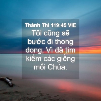 Picture 04 - Thánh Thi 119:45 VIE - Tôi cũng sẽ bước đi thong dong, Vì đã - Bible Verse Picture
