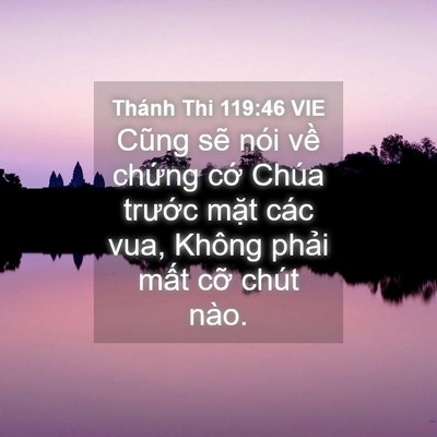 Picture 04 - Thánh Thi 119:46 VIE - Cũng sẽ nói về chứng cớ Chúa trước - Bible Verse Picture