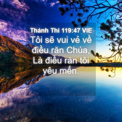 Picture 04 - Thánh Thi 119:47 VIE - Tôi sẽ vui vẻ về điều răn Chúa, Là - Bible Verse Picture