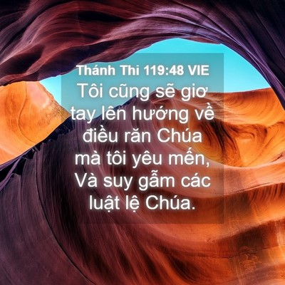 Picture 04 - Thánh Thi 119:48 VIE - Tôi cũng sẽ giơ tay lên hướng về - Bible Verse Picture