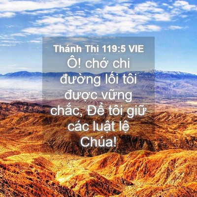 Picture 04 - Thánh Thi 119:5 VIE - Ô! chớ chi đường lối tôi được - Bible Verse Picture