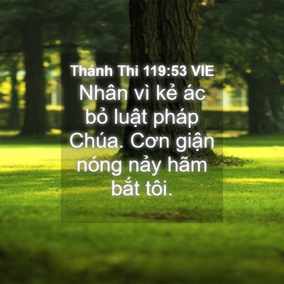 Picture 04 - Thánh Thi 119:53 VIE - Nhân vì kẻ ác bỏ luật pháp Chúa. Cơn - Bible Verse Picture